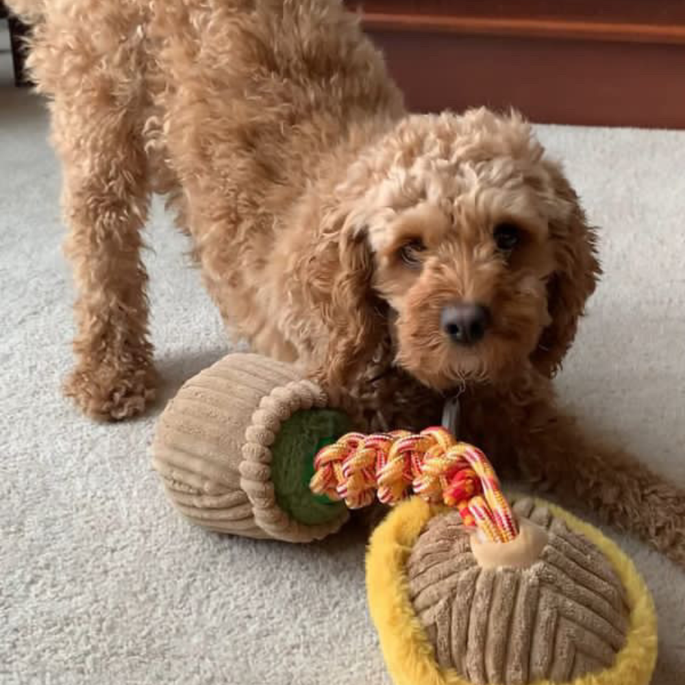 Mushroom Toy