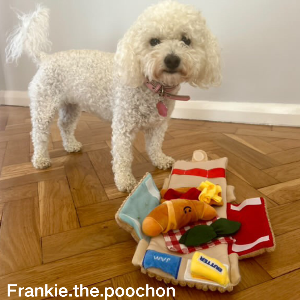 5-in-1 Picnic Toy Set