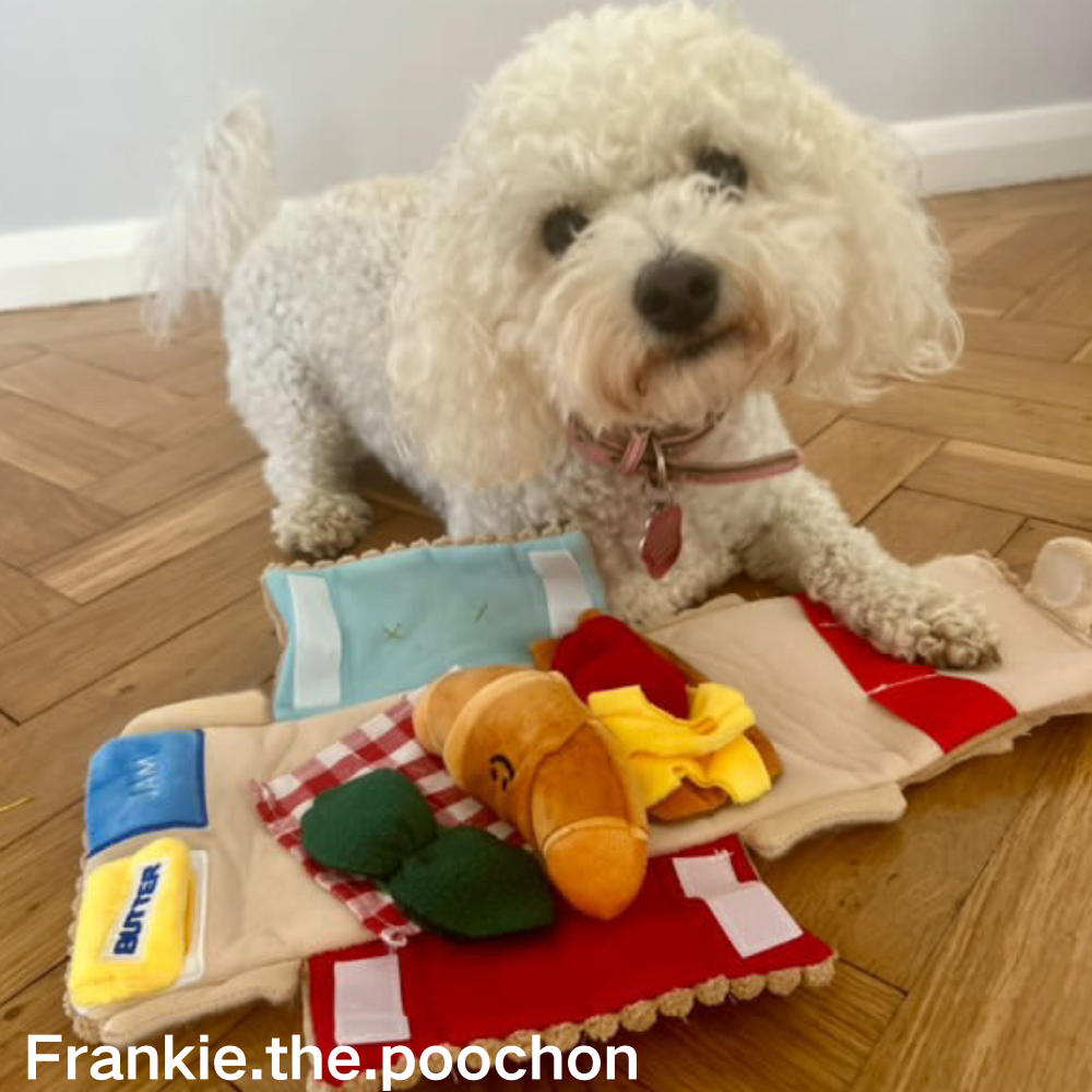 5-in-1 Picnic Toy Set