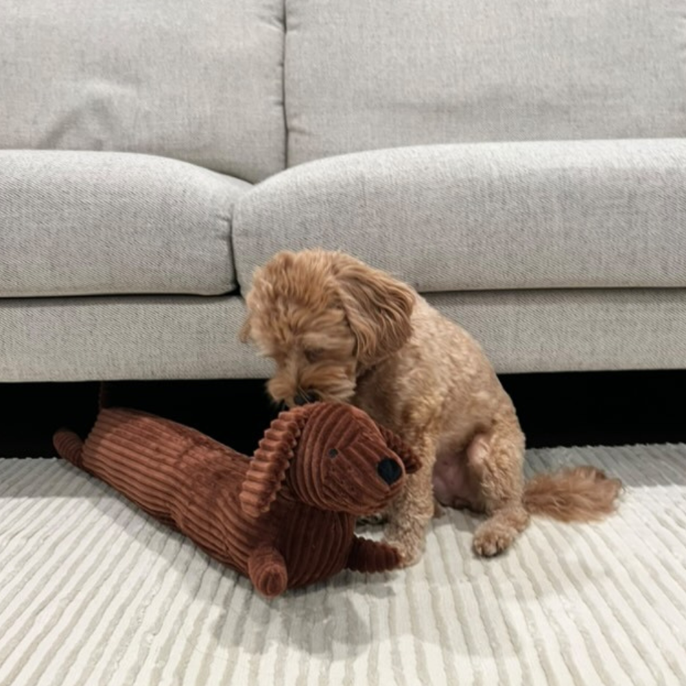 Dachshund Plush Pillow