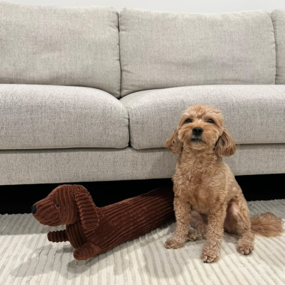 Dachshund Plush Pillow