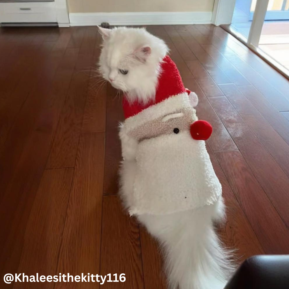 Santa Claus Sweater