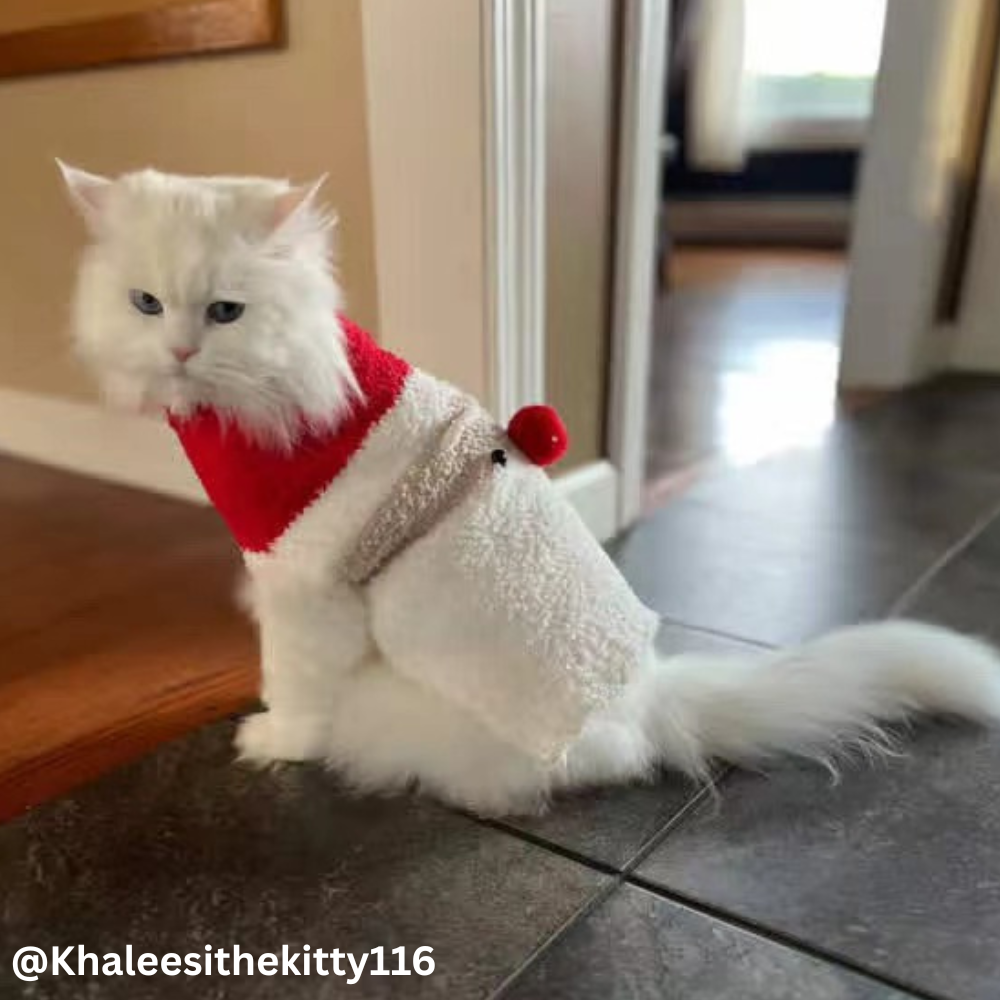 Santa Claus Sweater