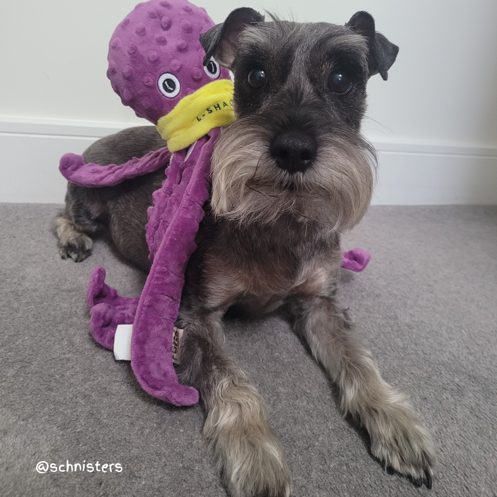 Octopus Enrichment Toy