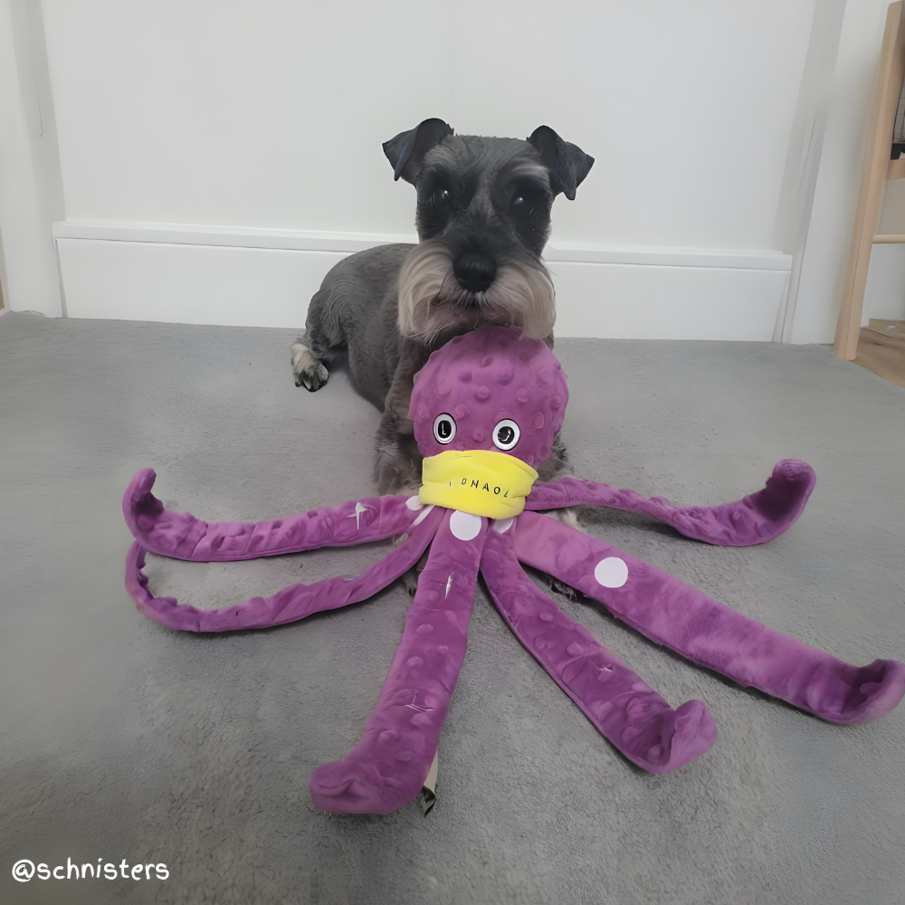 Octopus Enrichment Toy