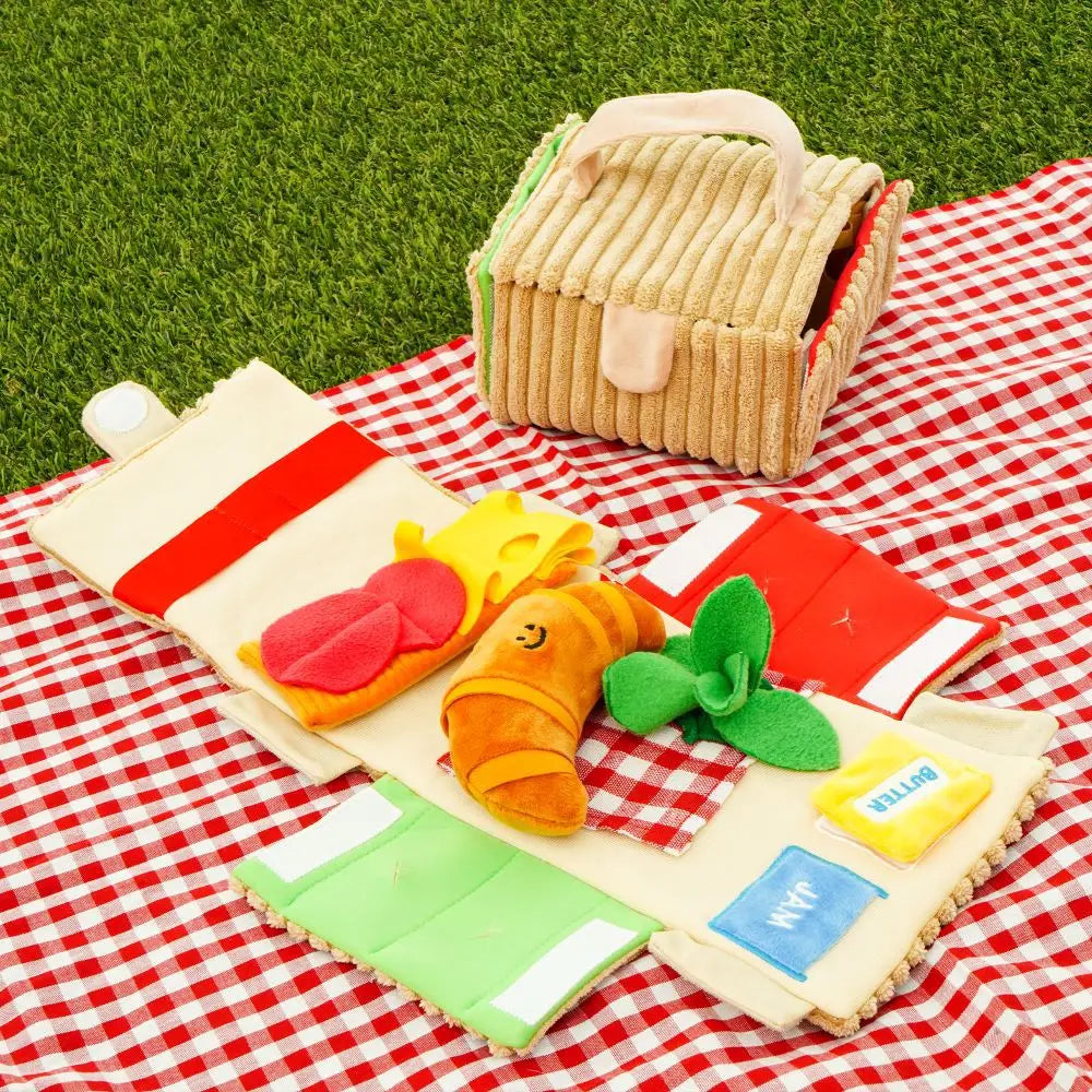 5-in-1 Picnic Toy Set