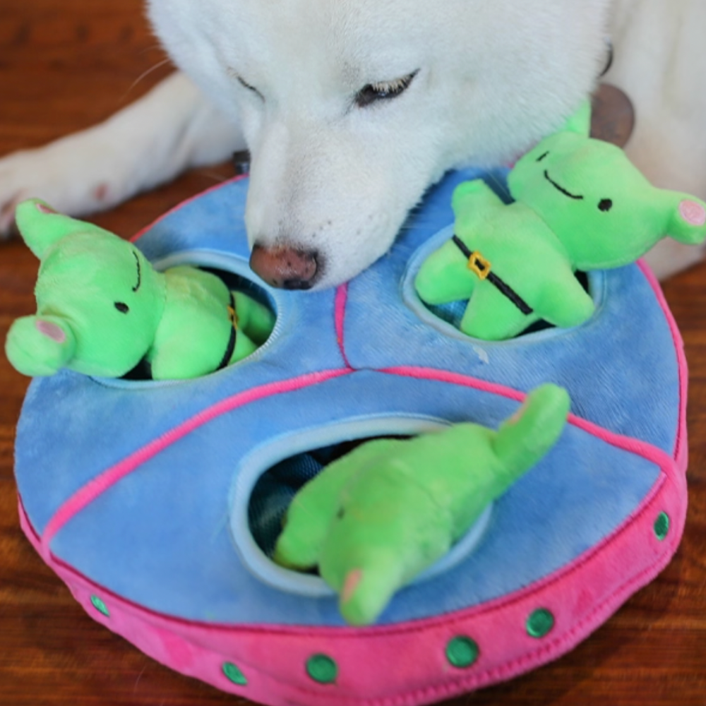 UFO Burrow Toy