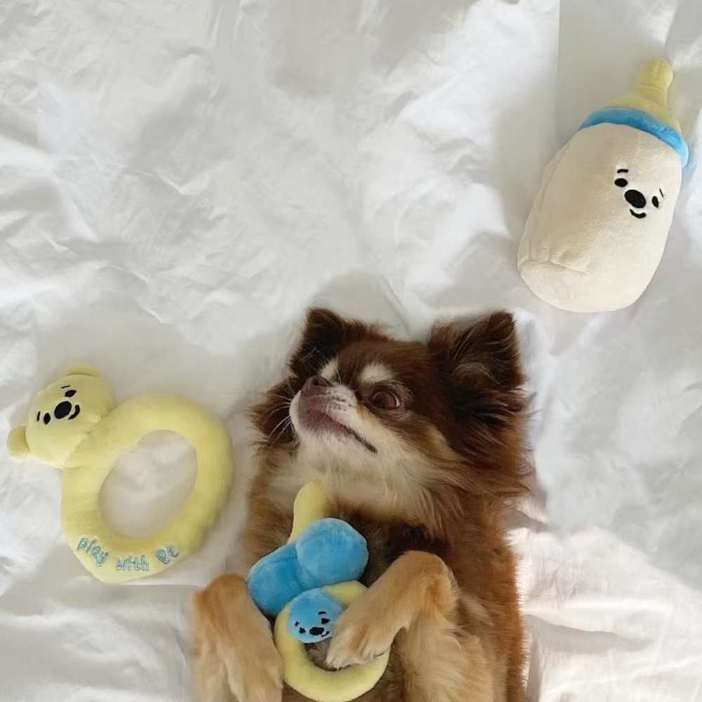 Companion Toys