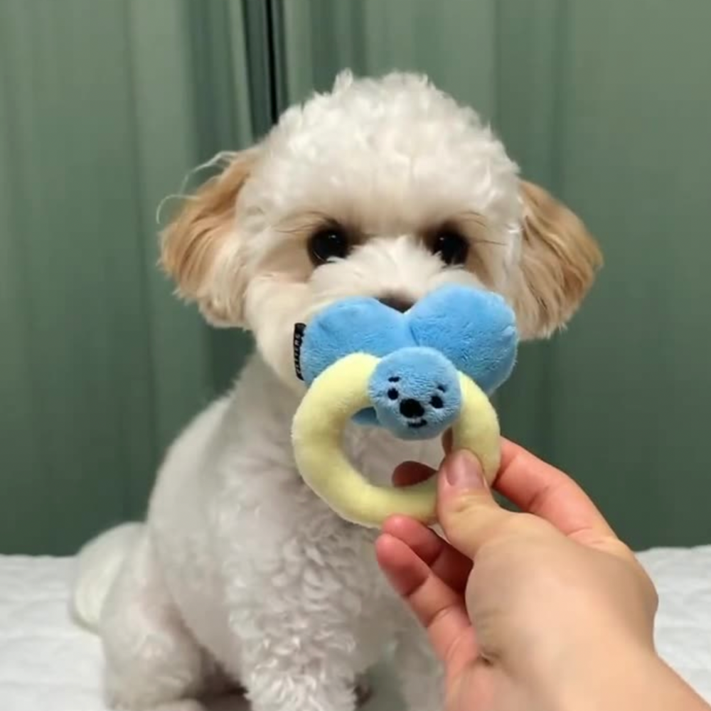 Companion Toys