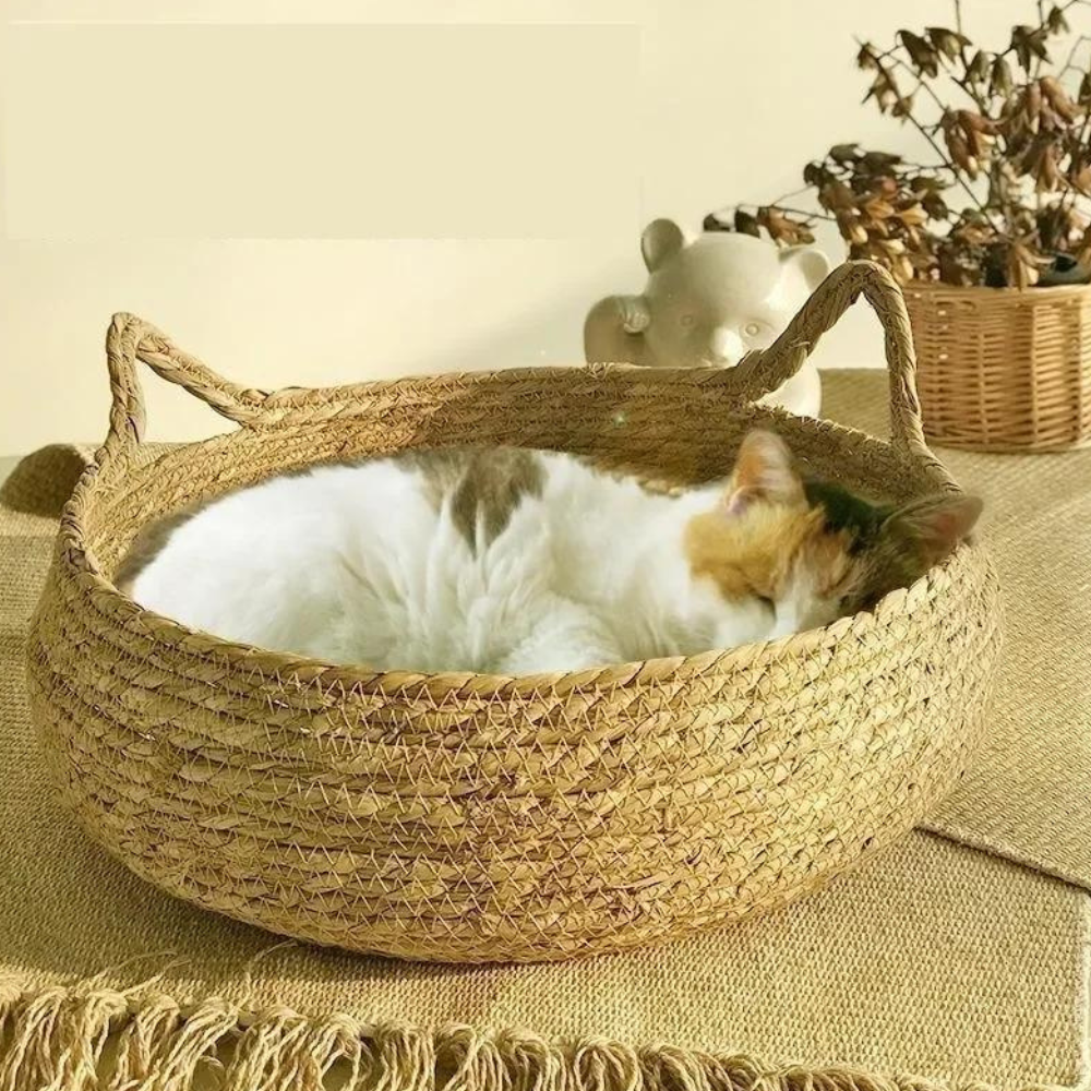 Handcrafted Basket With Cushion