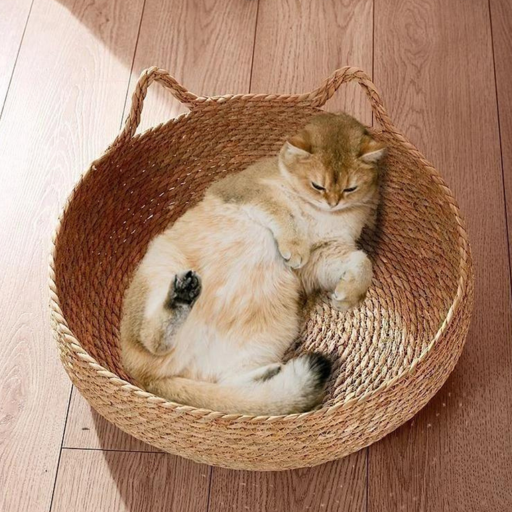 Handcrafted Basket With Cushion