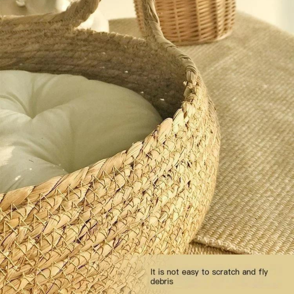 Handcrafted Basket With Cushion