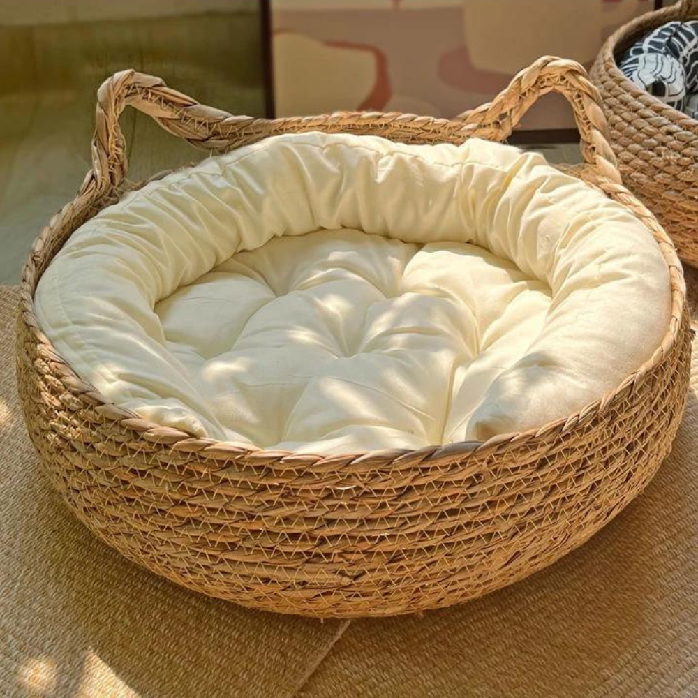 Handcrafted Basket With Cushion