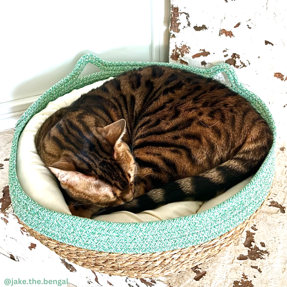 Handcrafted Woven Pet Bed