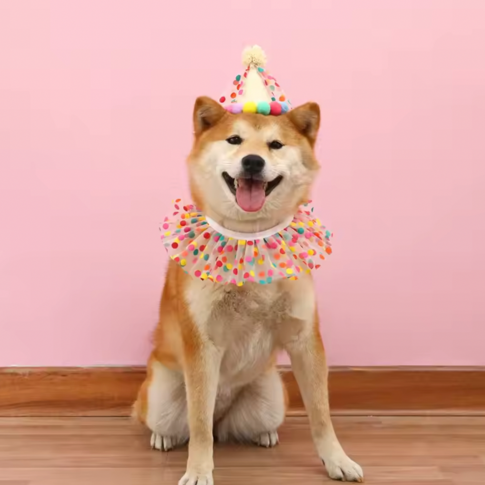 Birthday Hat