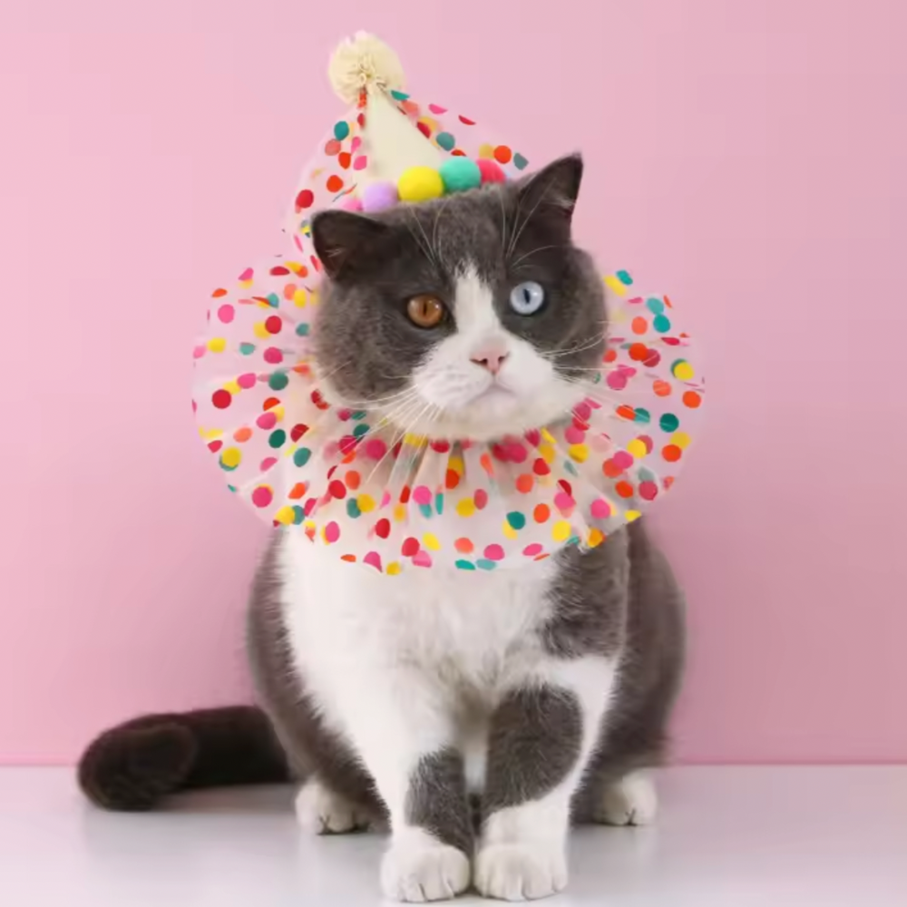 Birthday Hat