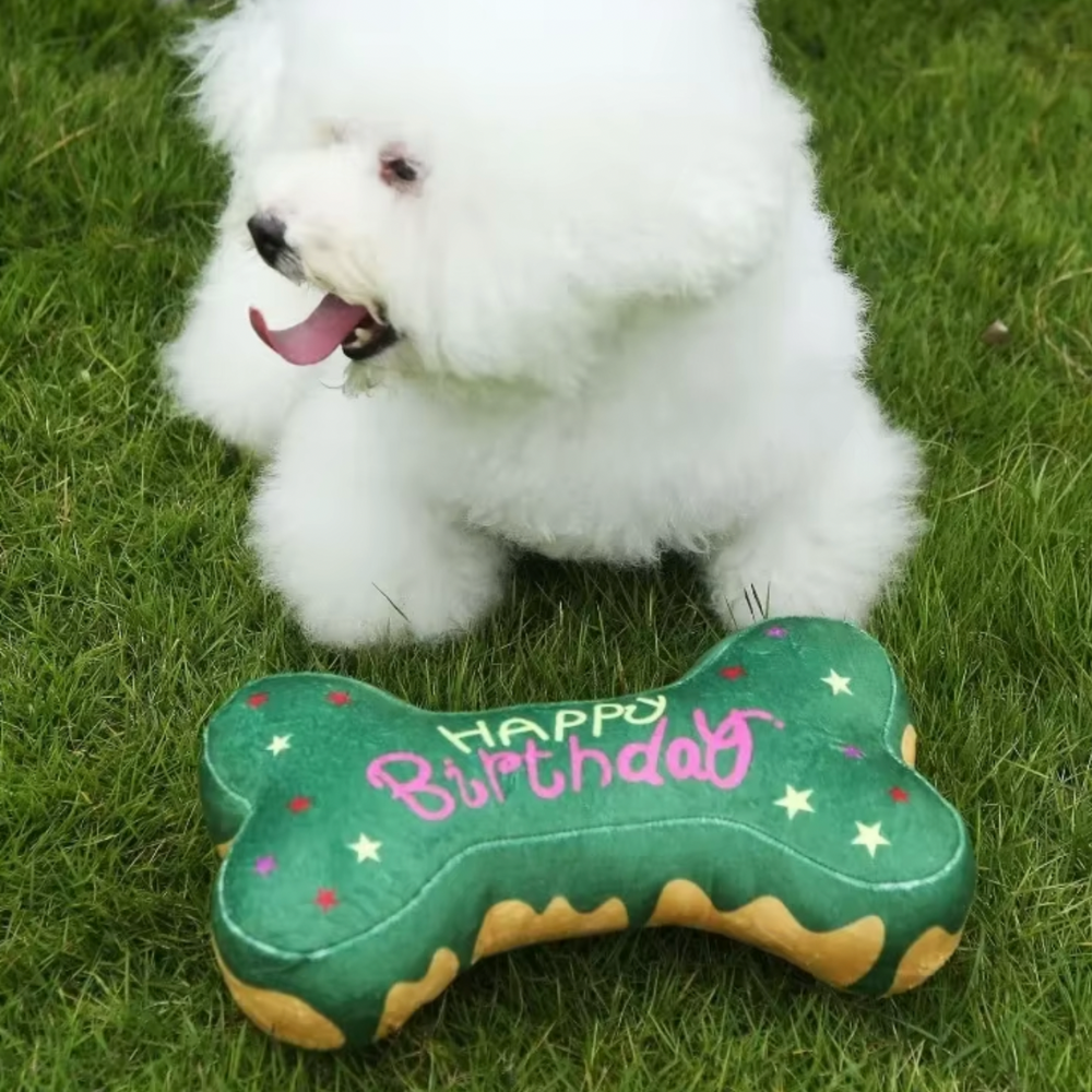 Birthday Bone Toy