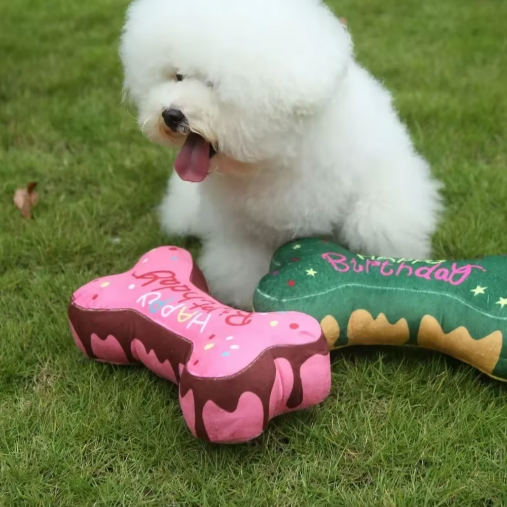 Birthday Bone Toy