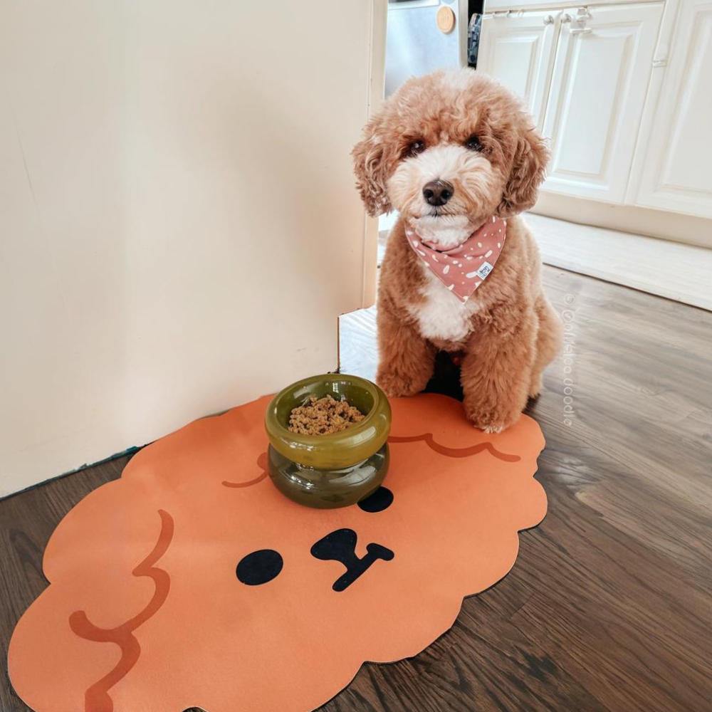 Quick-Drying Dining Mat