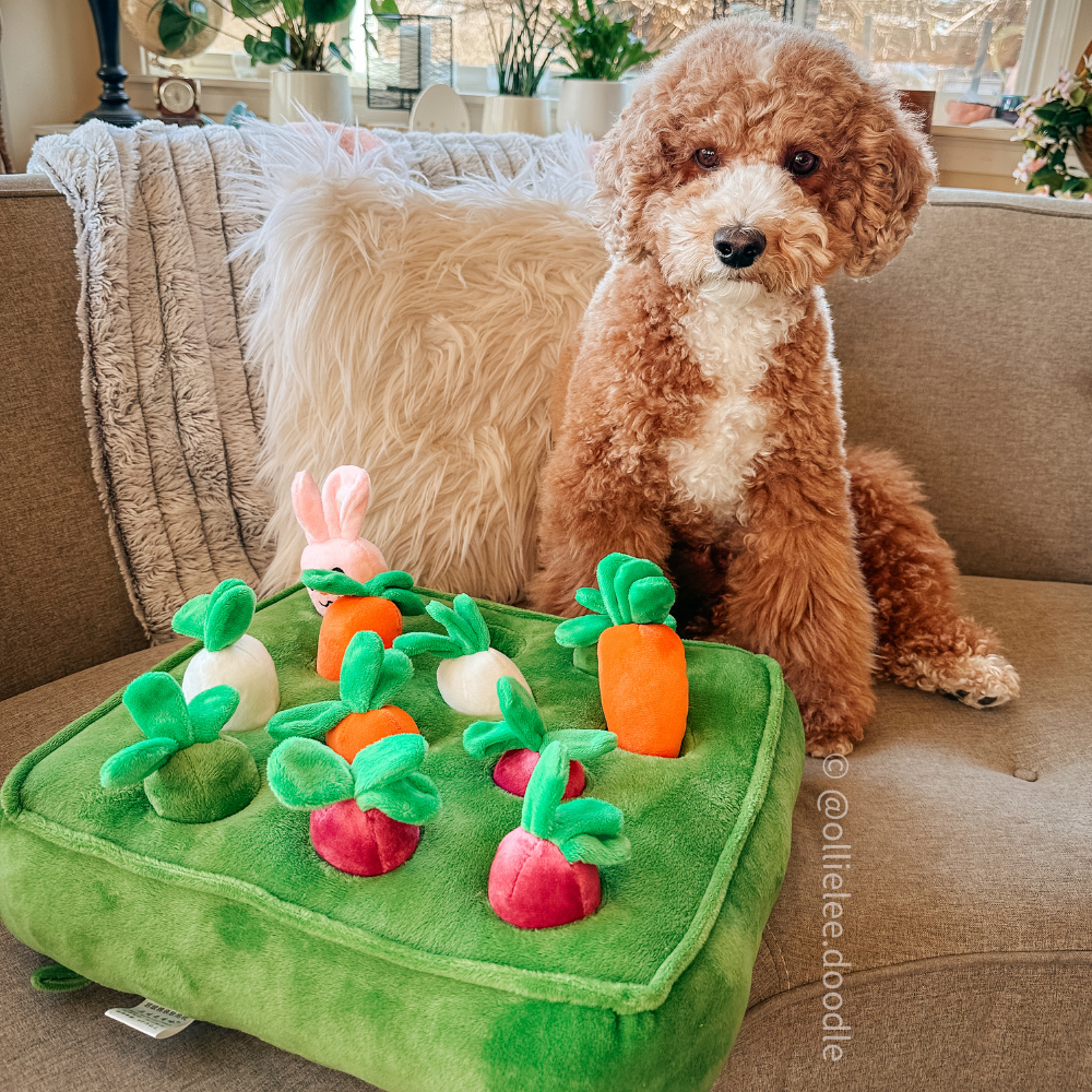 Rabbit And Carrot Snuffle Mat