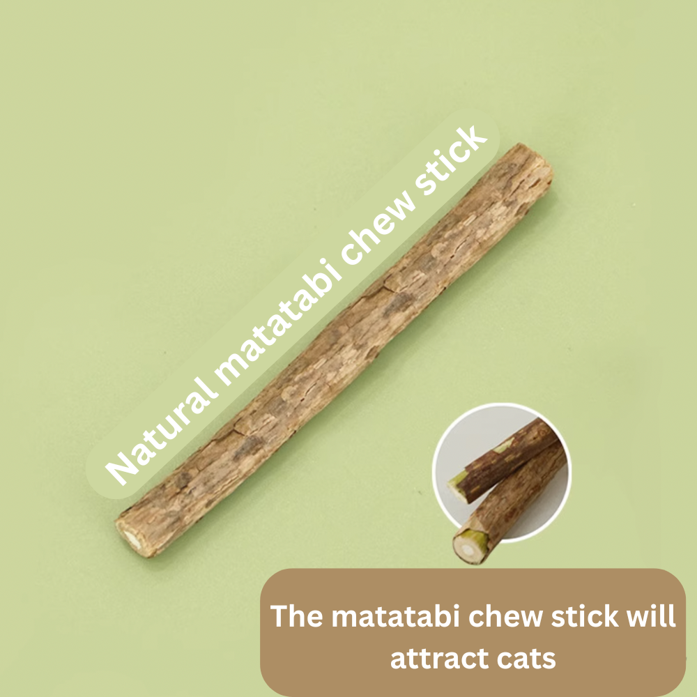 2 Pcs Cat Chew Toys