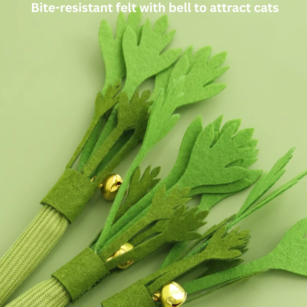 2 Pcs Cat Chew Toys