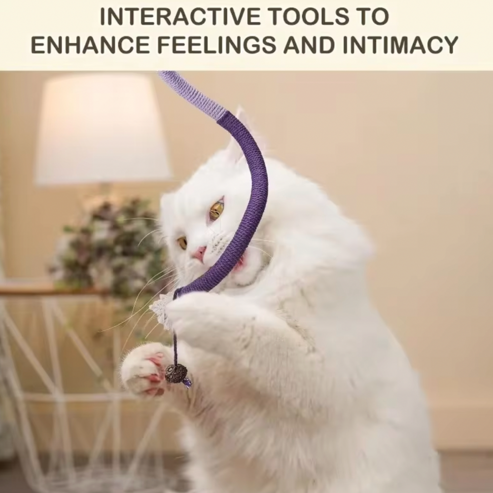 Interactive Catnip And Rope Toy