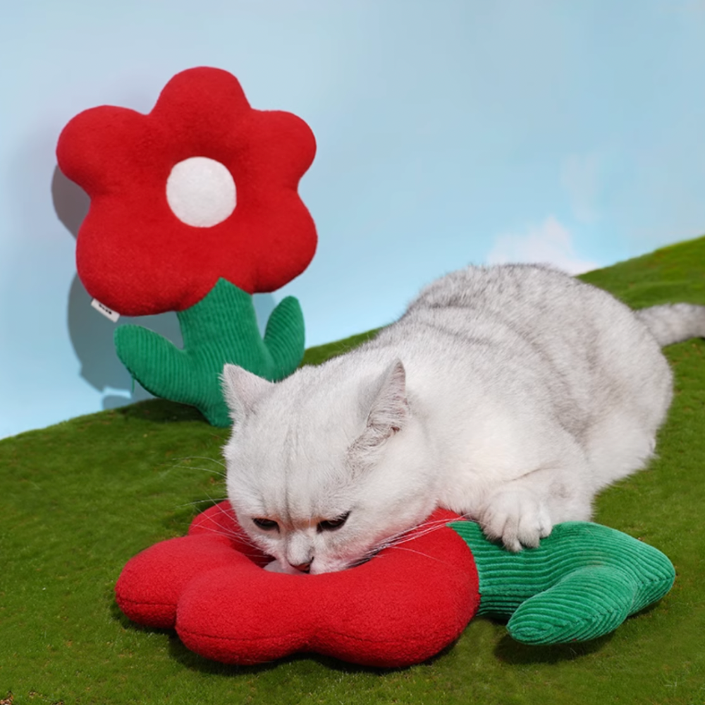 Plush Flowers Catnip