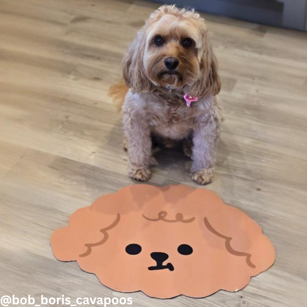Quick-Drying Dining Mat