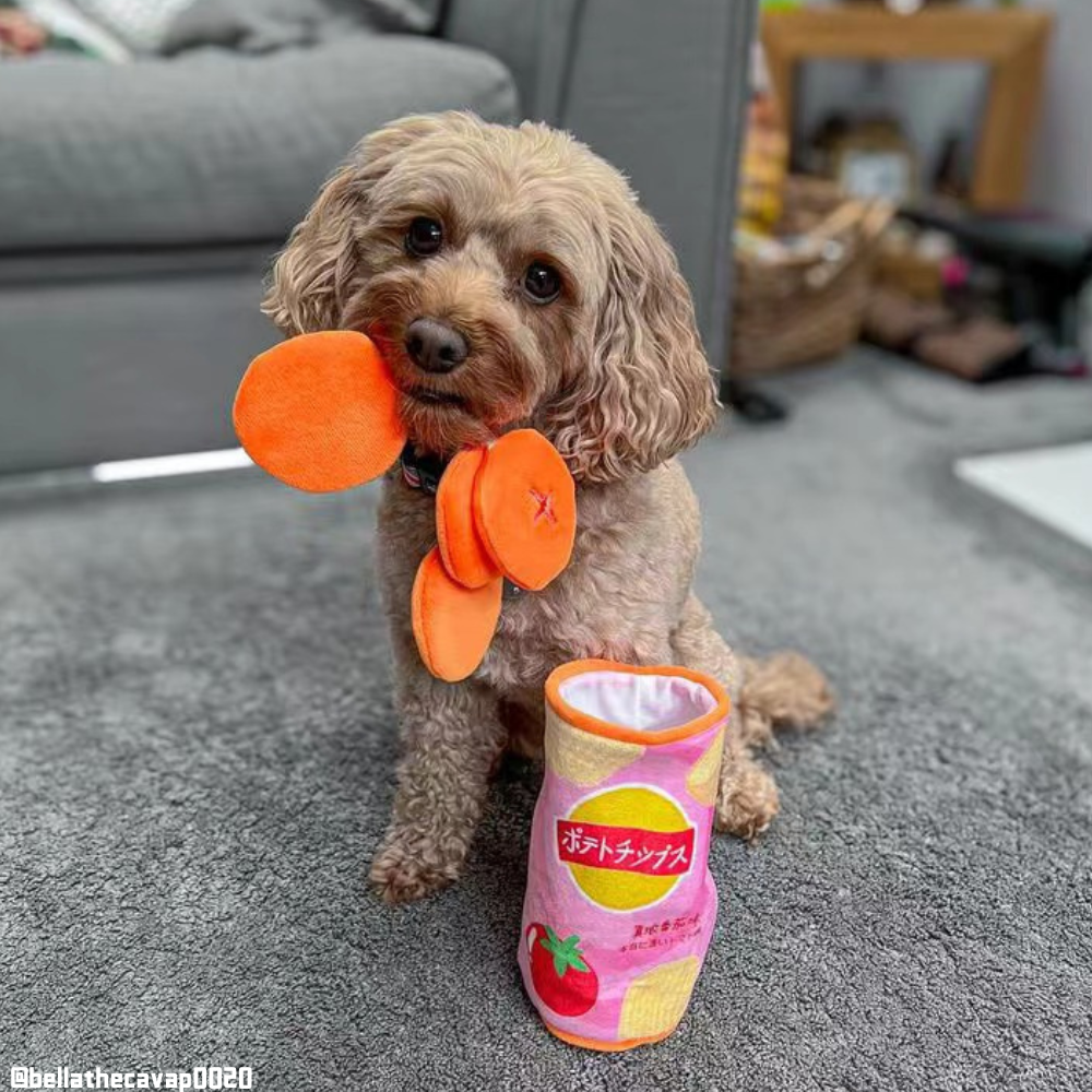 Chips Snuffle Treat Puzzle