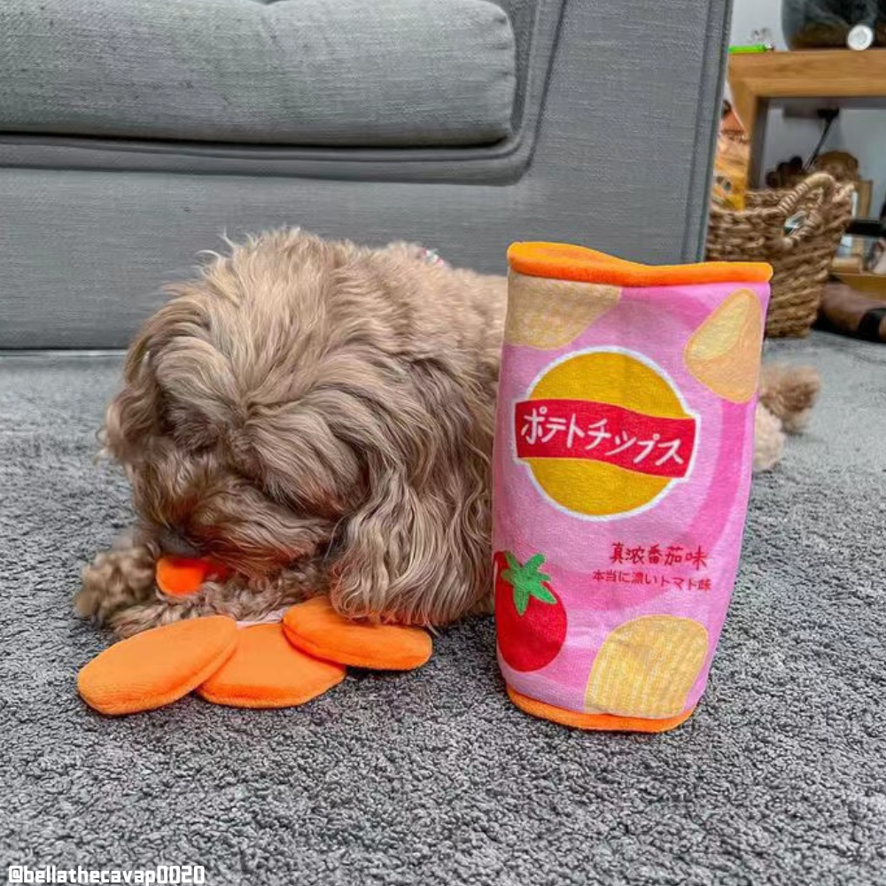 Chips Snuffle Treat Puzzle