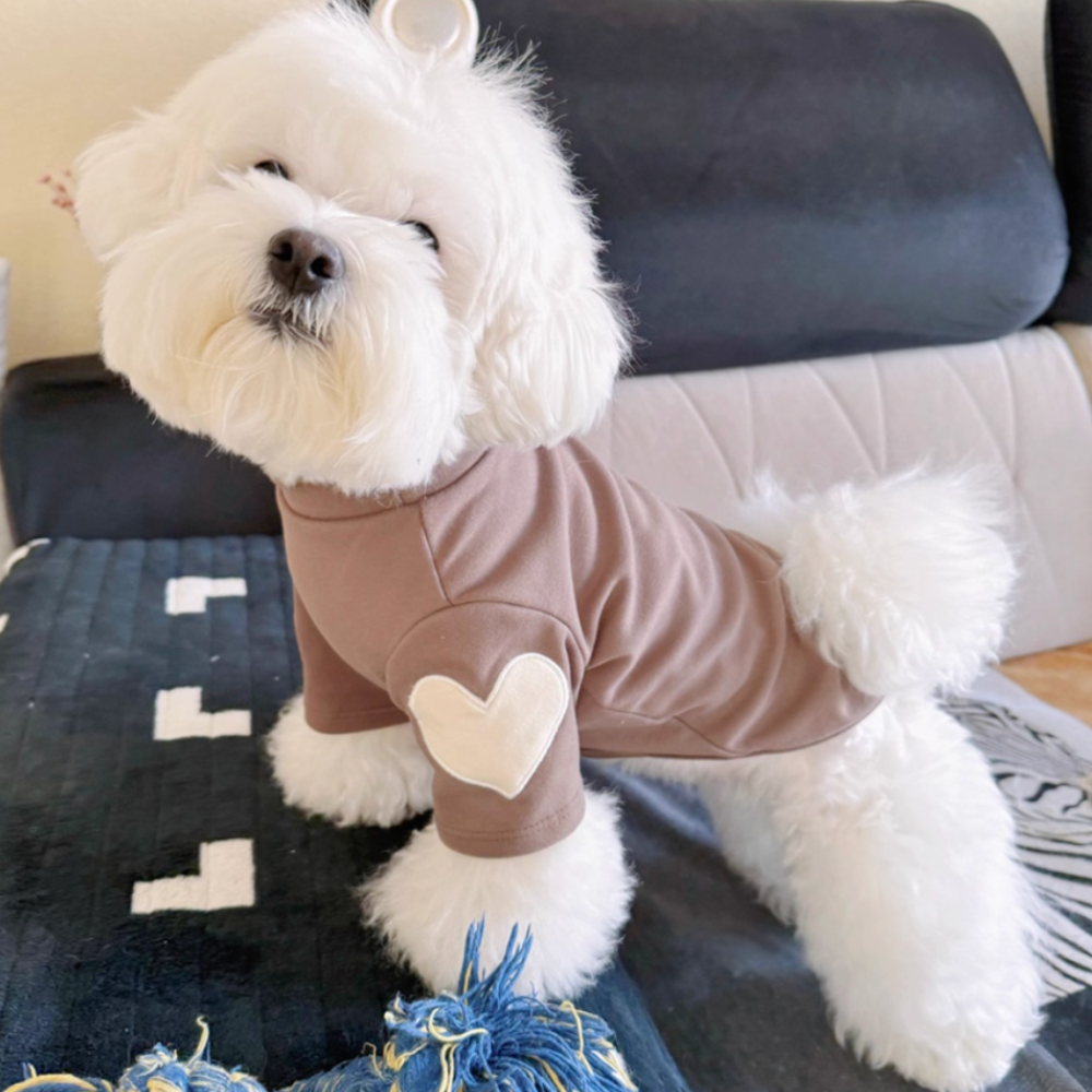 Chocolate Heart Shirt