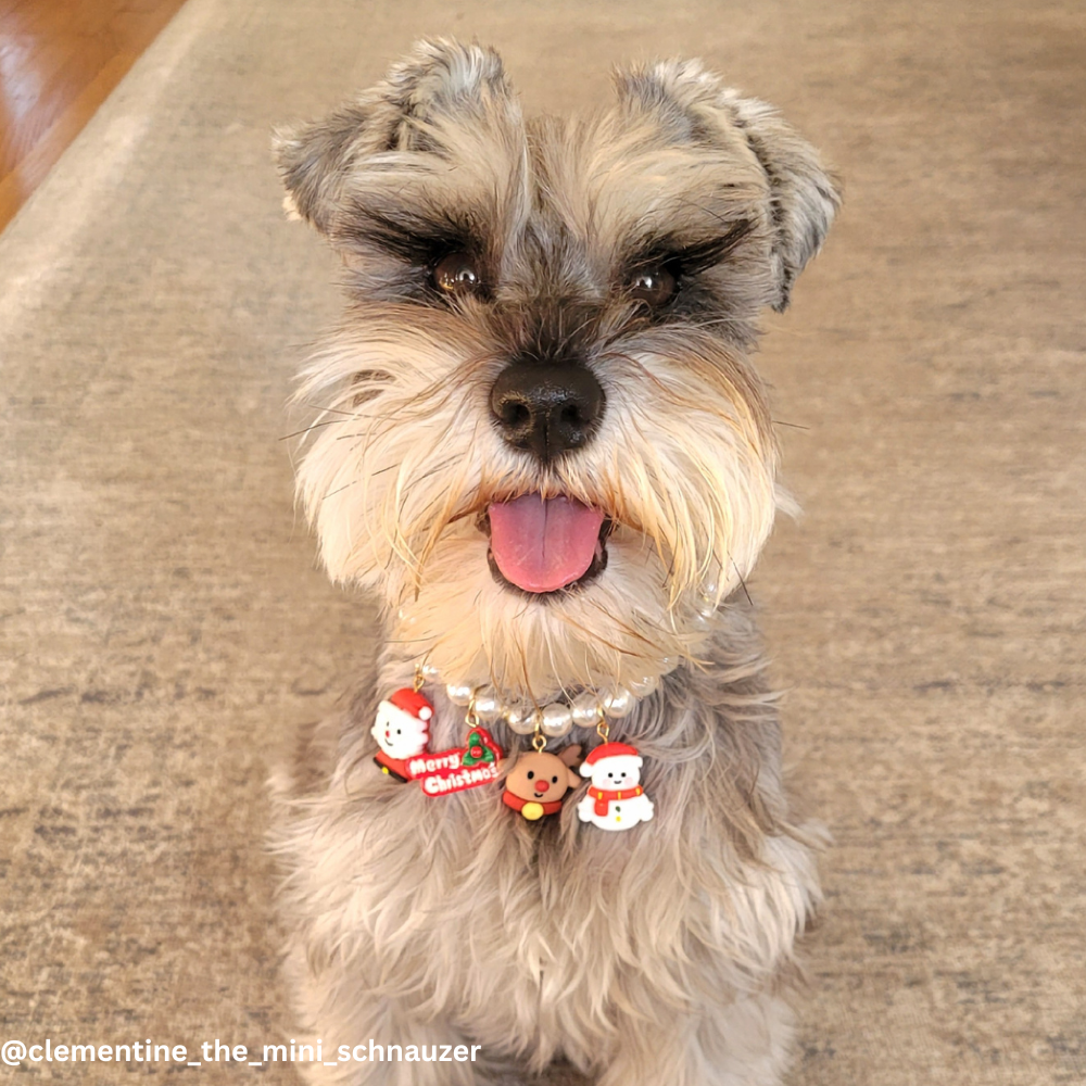 Christmas Pearl Collar