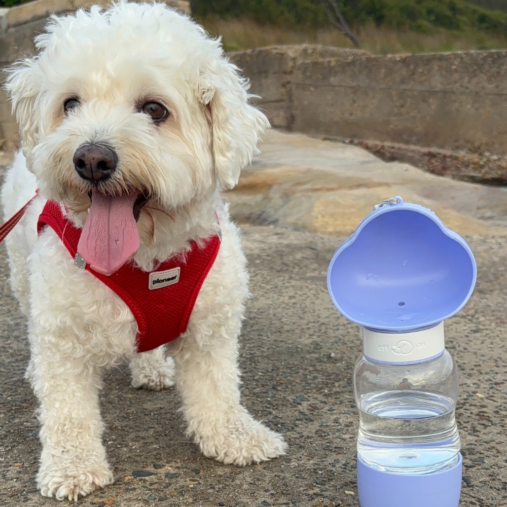 Cloud Shaped Bottle