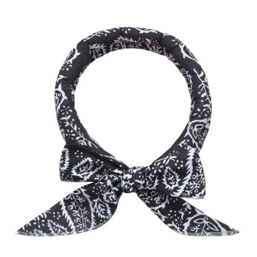 Cooling Collar