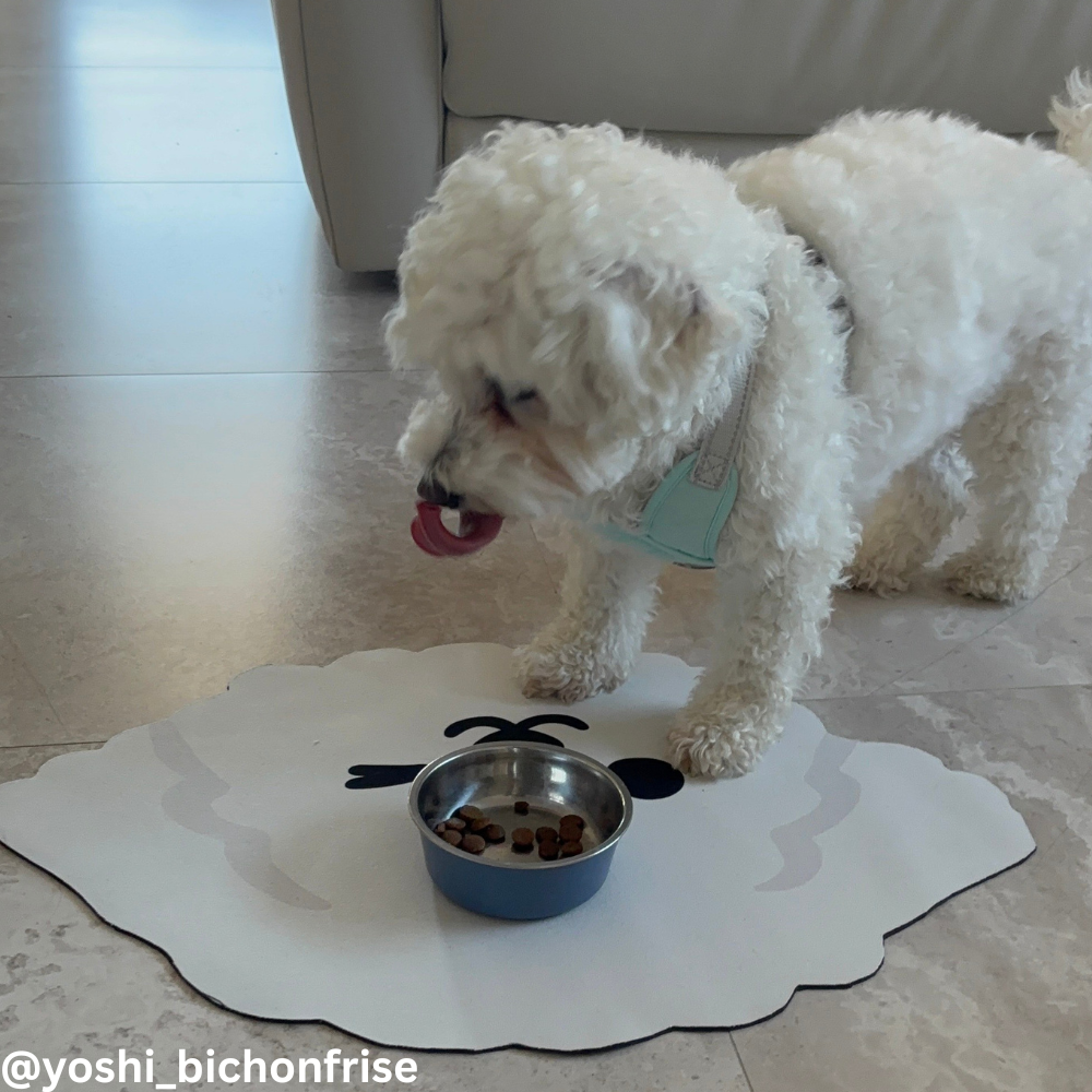 Dining Mat Quick-dry