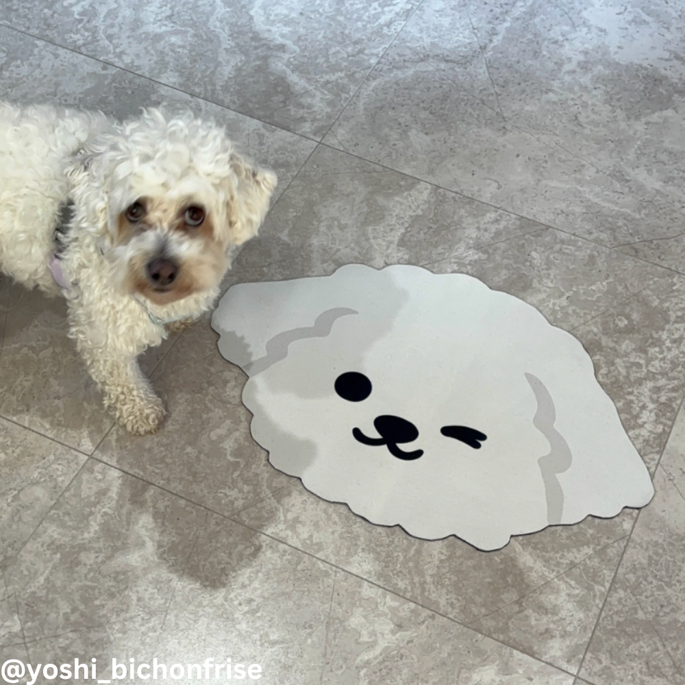 Dining Mat Quick-dry