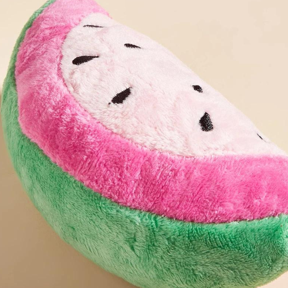 Pink Watermelon Toy