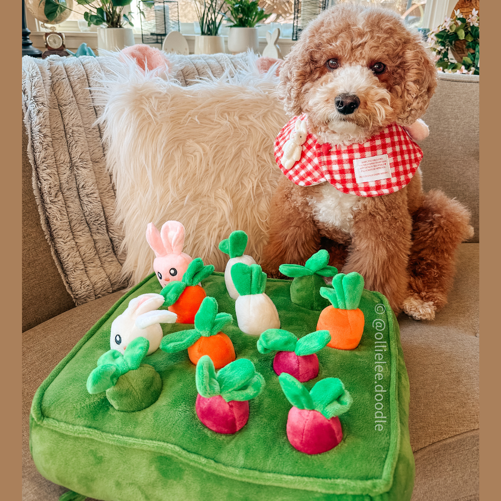 Rabbit And Carrot Snuffle Mat