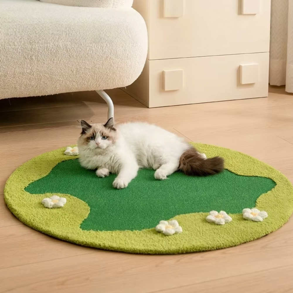 2 in 1 Sisal Scratcher Mat