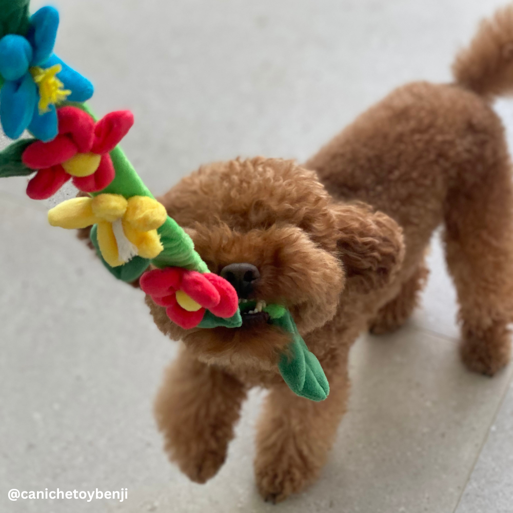 Flower Wreath Tug of War Dog Toy