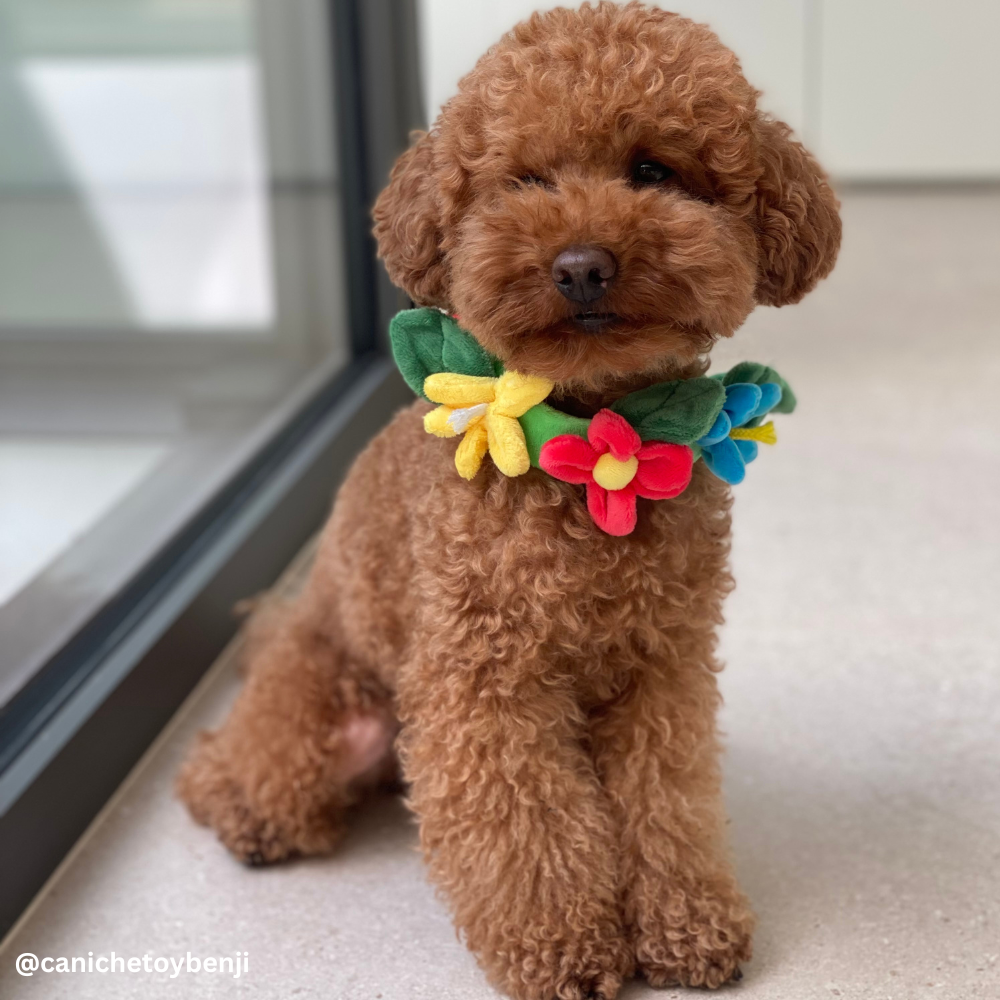 Flower Wreath Tug of War Dog Toy