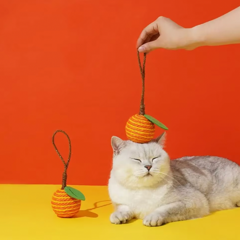 Fruit Ball Toy