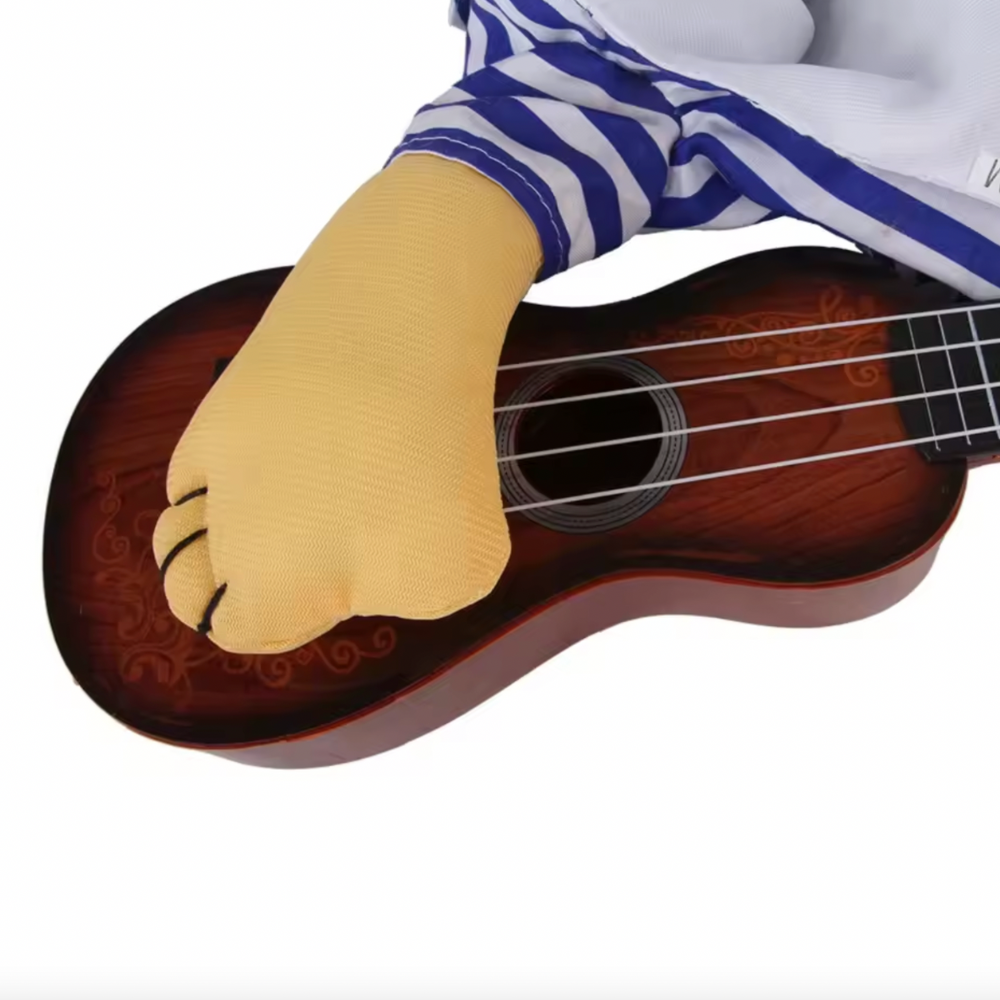 Halloween Guitar Player Costume