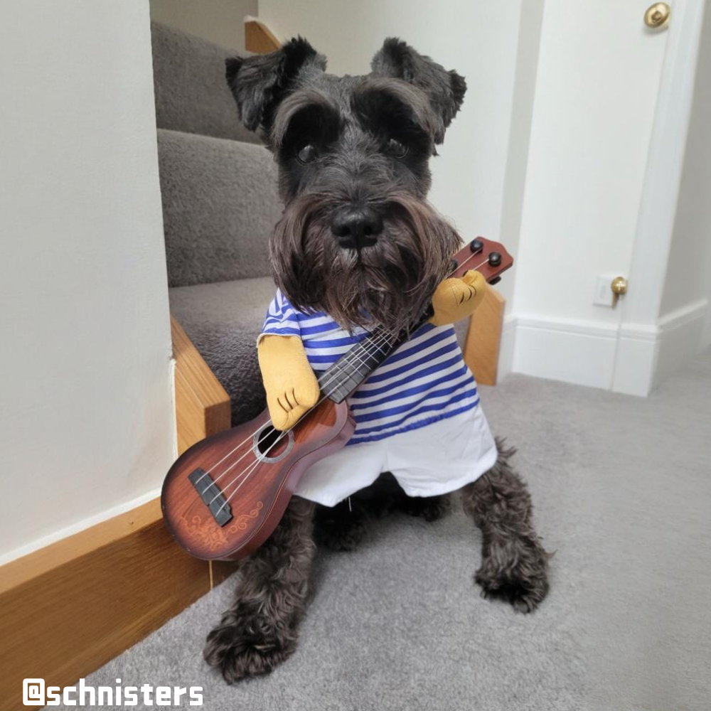 Halloween Guitar Player Costume