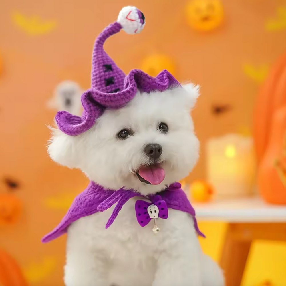 Halloween Knitted Hat