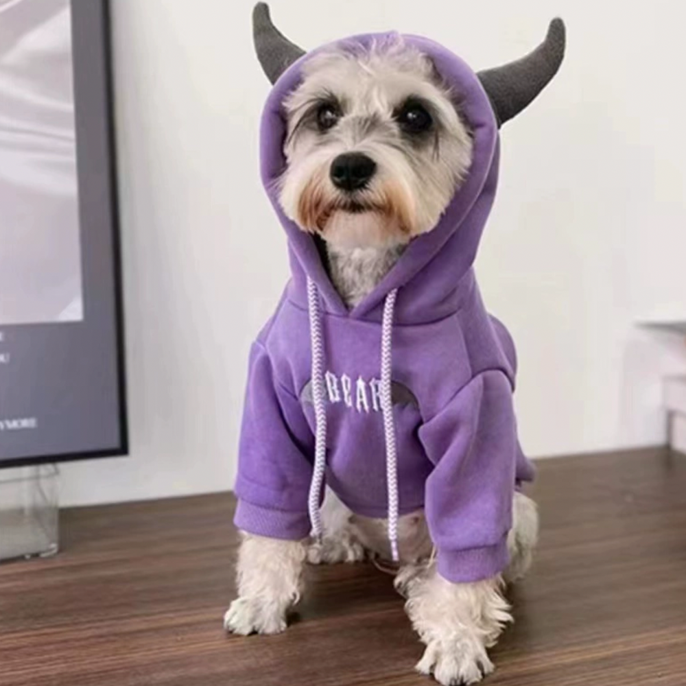 Purple Evil Hoodie