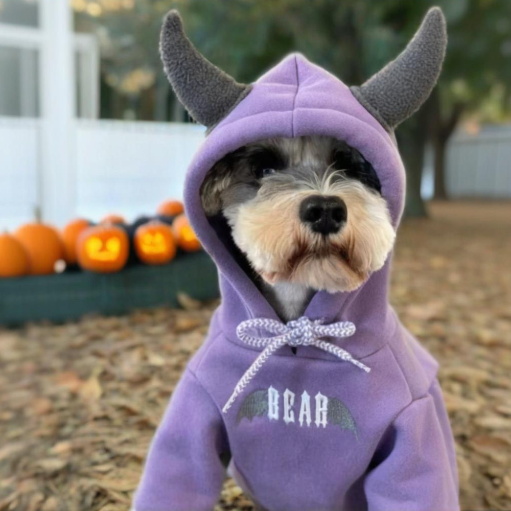 Purple Evil Hoodie