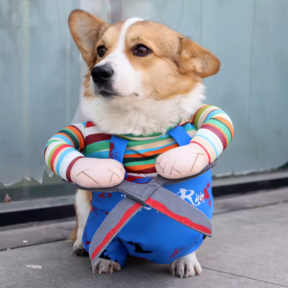 Halloween Killer Costume