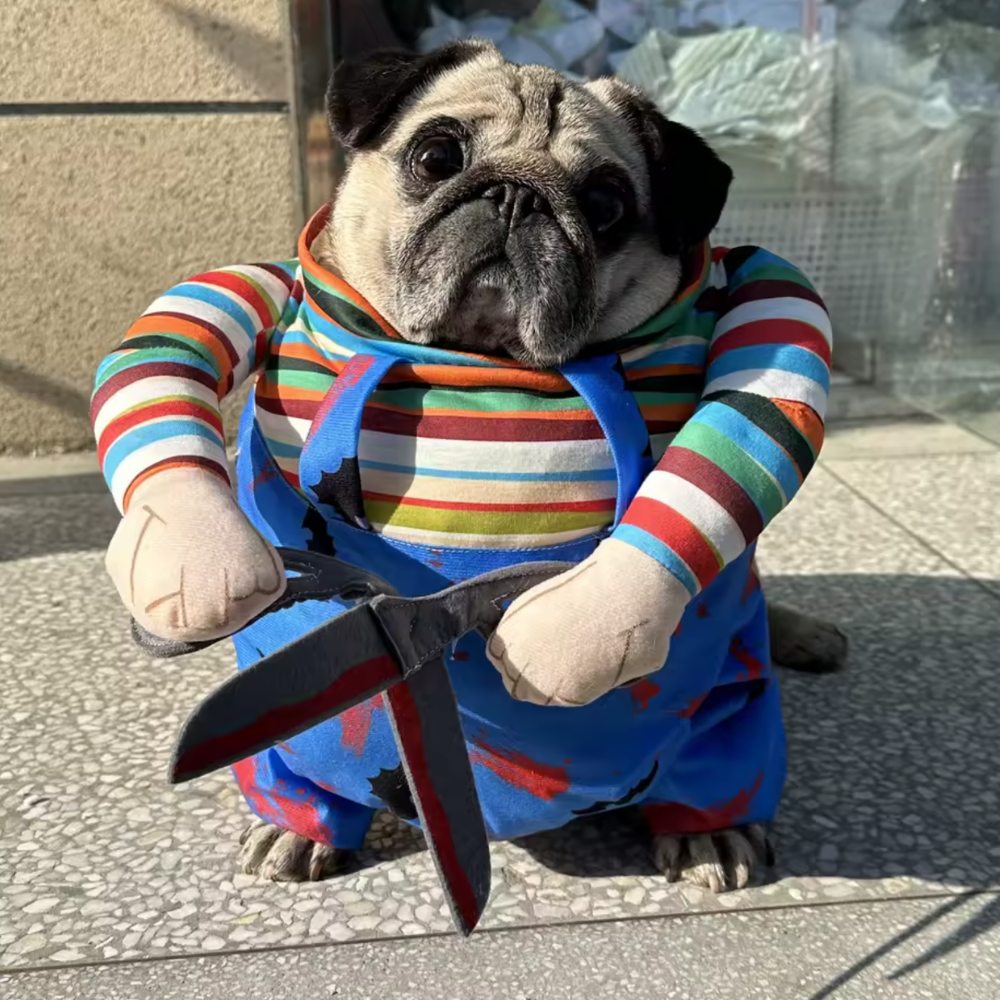 Halloween Killer Costume